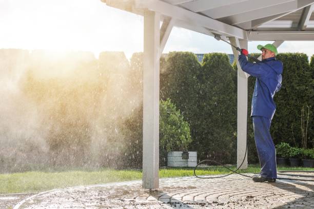 Best Building Exterior Washing  in Bellwood, VA